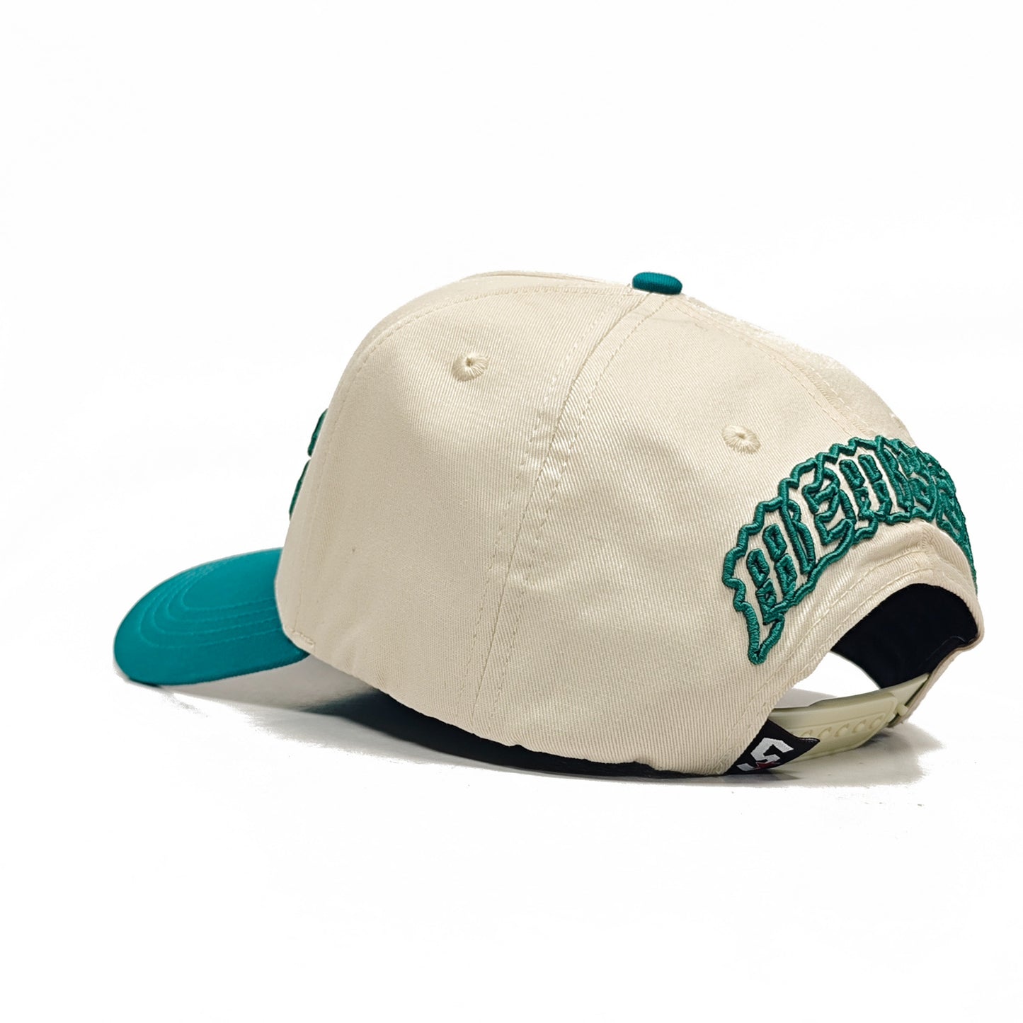 MEMBERS DUCKS SNAPBACK